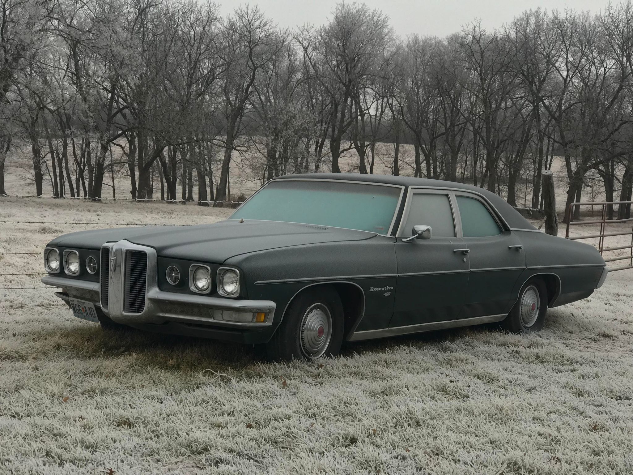 Previous Owners Picture